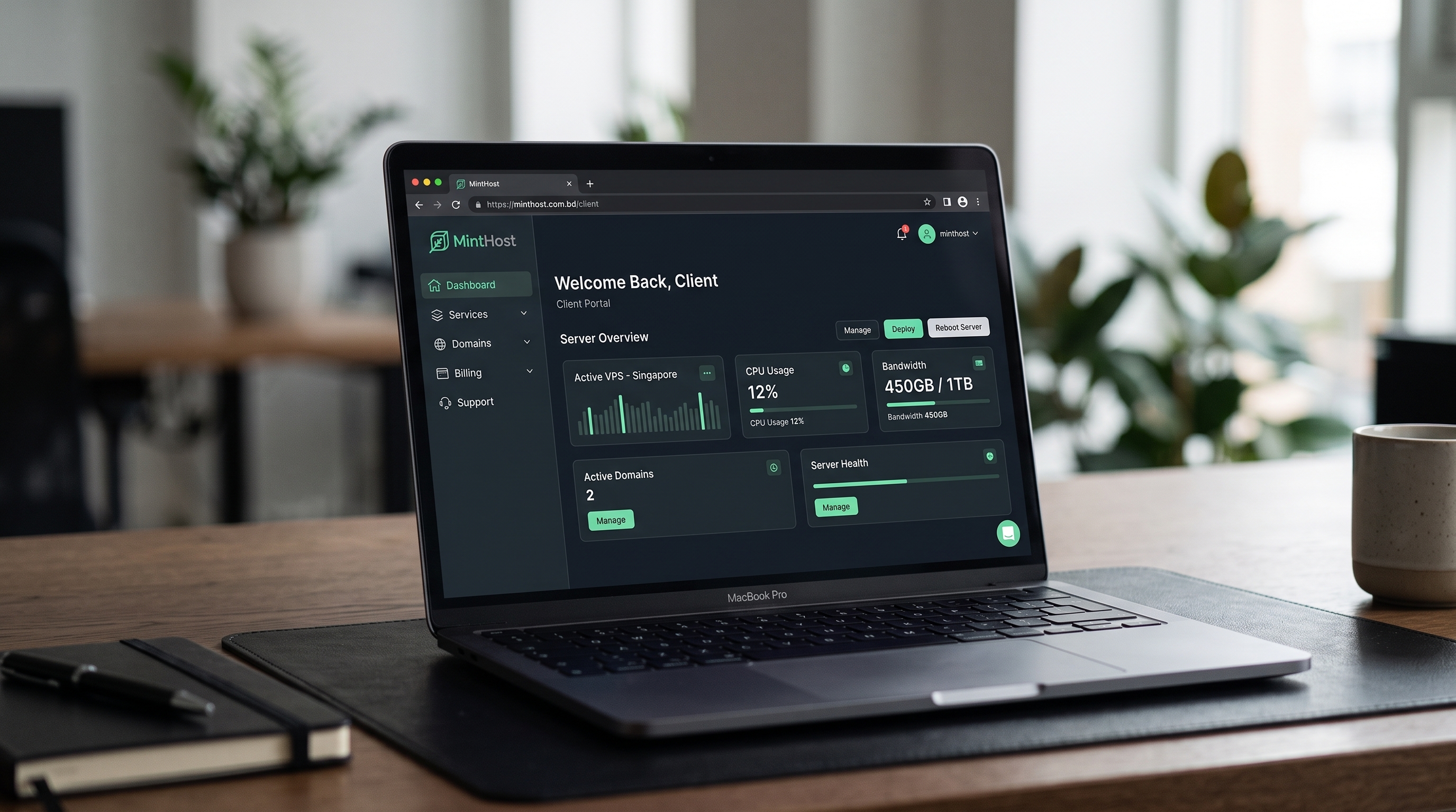 MintHost client portal on MacBook